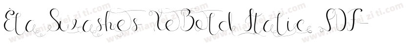 Ela Swashes XeBold Italic PDF字体转换